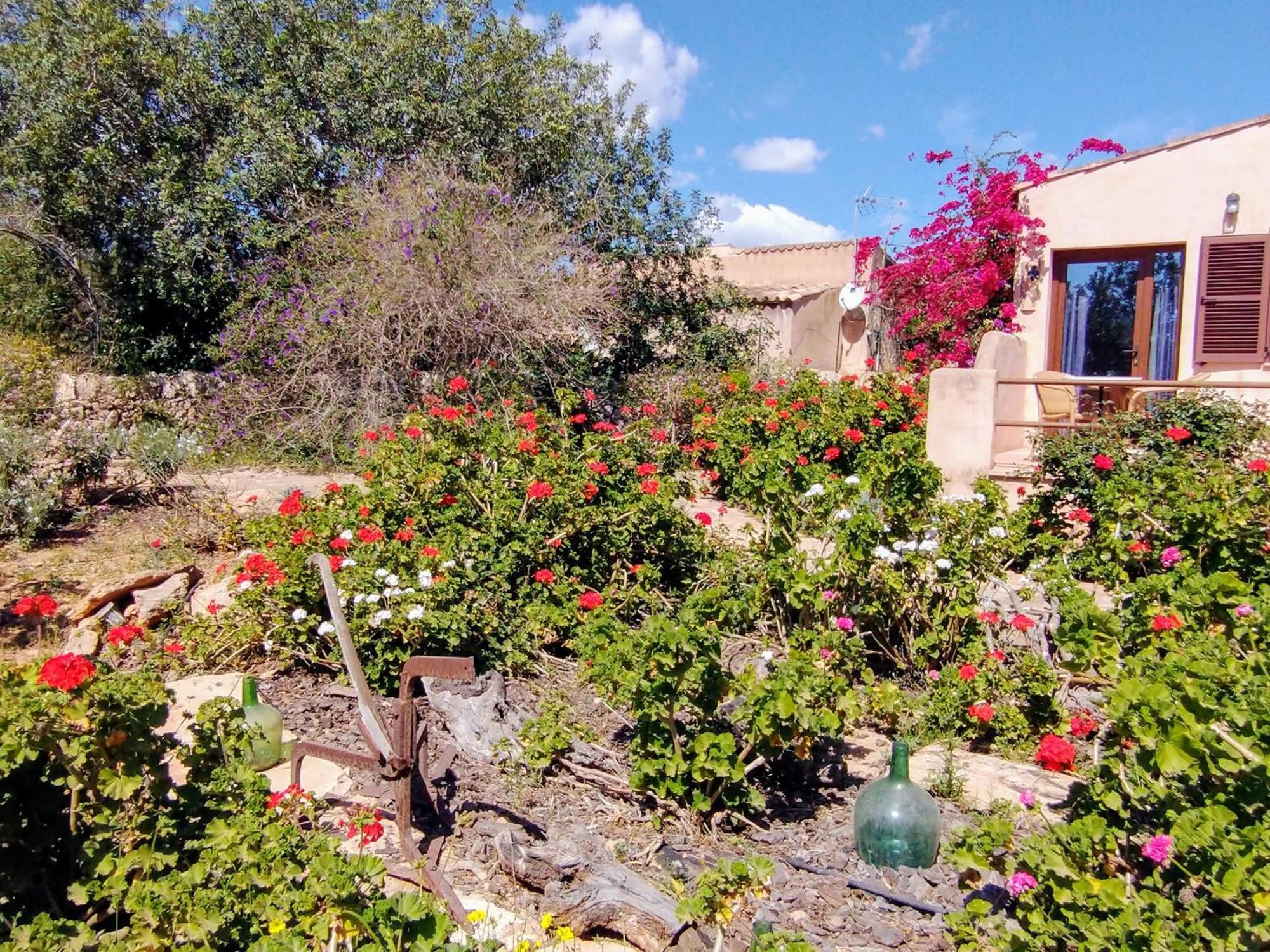 Finca Son Marimon (Adults Only) Сантаний Екстериор снимка
