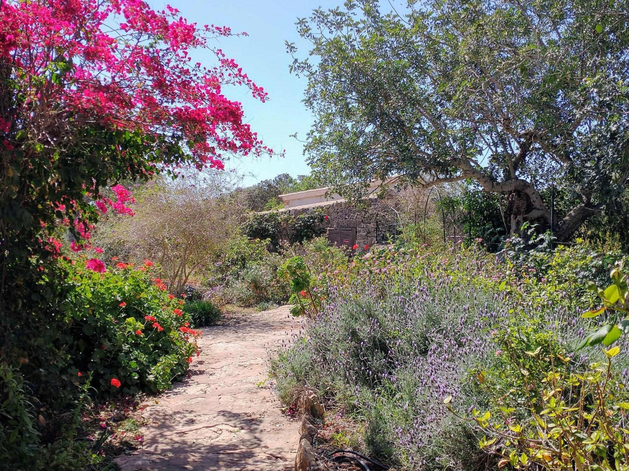 Finca Son Marimon (Adults Only) Сантаний Екстериор снимка